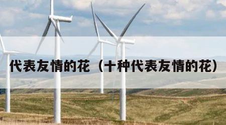 代表友情的花（十种代表友情的花）