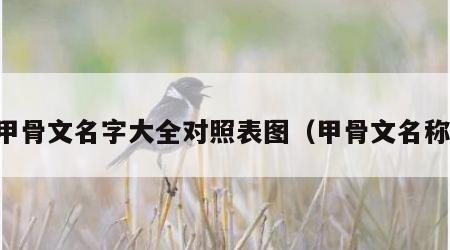 甲骨文名字大全对照表图（甲骨文名称）