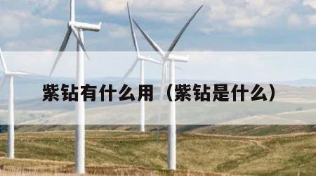 紫钻有什么用（紫钻是什么）