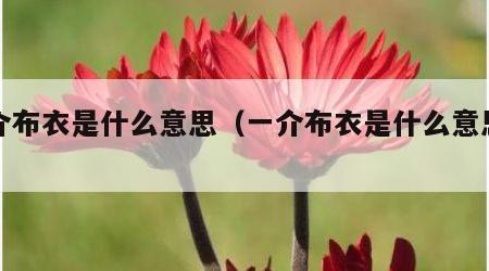 一介布衣是什么意思（一介布衣是什么意思比喻）