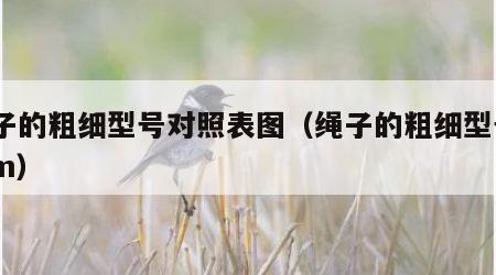绳子的粗细型号对照表图（绳子的粗细型号3mm）