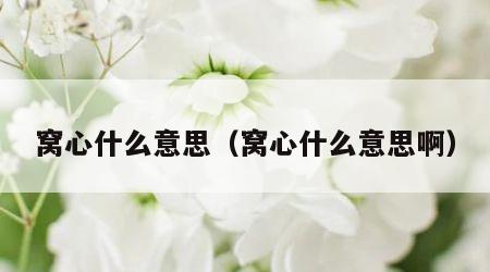 窝心什么意思（窝心什么意思啊）