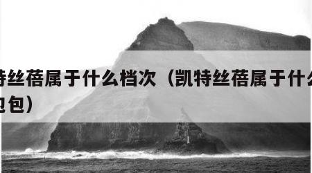 凯特丝蓓属于什么档次（凯特丝蓓属于什么档次包包）