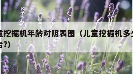 儿童挖掘机年龄对照表图（儿童挖掘机多少钱一台?）