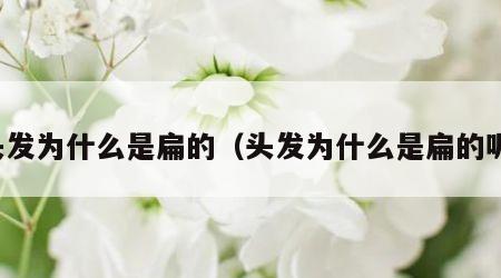 头发为什么是扁的（头发为什么是扁的呢）
