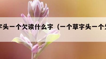 草字头一个欠读什么字（一个草字头一个欠字）