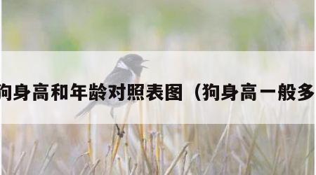 狗狗身高和年龄对照表图（狗身高一般多高）