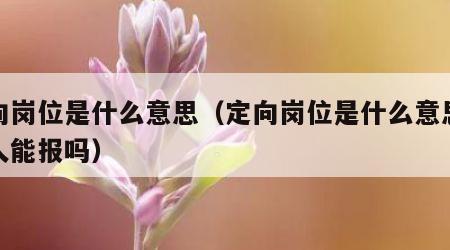 定向岗位是什么意思（定向岗位是什么意思其他人能报吗）