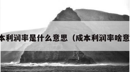 成本利润率是什么意思（成本利润率啥意思）
