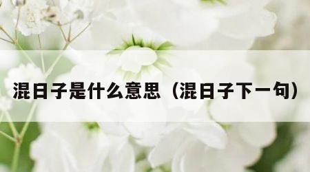 混日子是什么意思（混日子下一句）