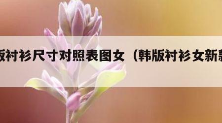 韩版衬衫尺寸对照表图女（韩版衬衫女新款图片）