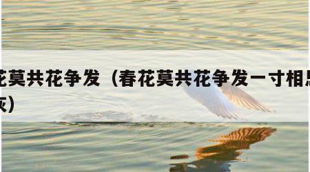 春花莫共花争发（春花莫共花争发一寸相思一寸灰）