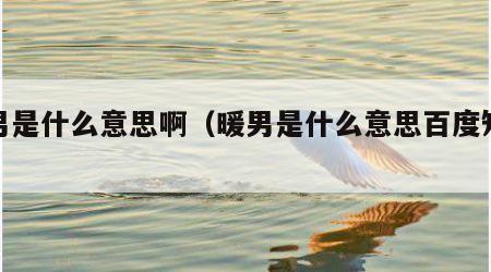 暖男是什么意思啊（暖男是什么意思百度知道）