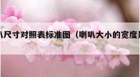 喇叭尺寸对照表标准图（喇叭大小的宽度是多少）