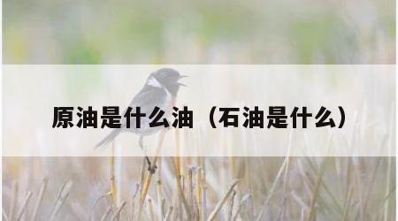 原油是什么油（石油是什么）