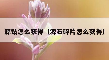 源钻怎么获得（源石碎片怎么获得）