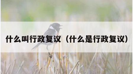 什么叫行政复议（什么是行政复议）