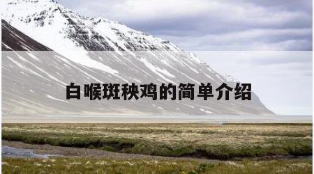 白喉斑秧鸡的简单介绍