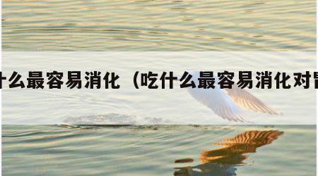 吃什么最容易消化（吃什么最容易消化对胃好）