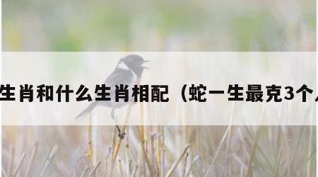蛇生肖和什么生肖相配（蛇一生最克3个人）