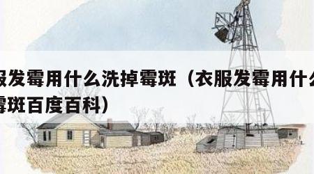 衣服发霉用什么洗掉霉斑（衣服发霉用什么洗掉霉斑百度百科）