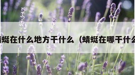 蜻蜓在什么地方干什么（蜻蜓在哪干什么）