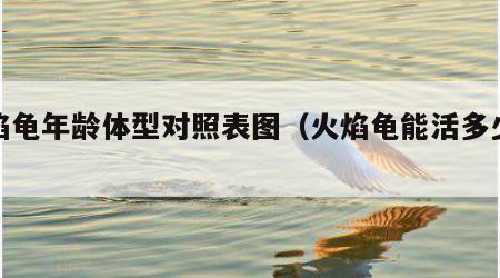 火焰龟年龄体型对照表图（火焰龟能活多少年?）