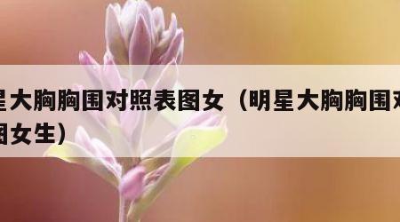 明星大胸胸围对照表图女（明星大胸胸围对照表图女生）