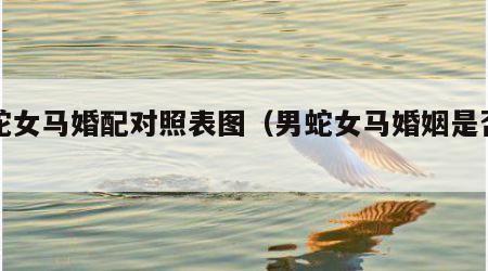 男蛇女马婚配对照表图（男蛇女马婚姻是否相配）