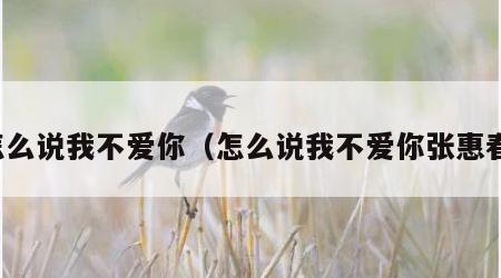 怎么说我不爱你（怎么说我不爱你张惠春）