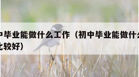 初中毕业能做什么工作（初中毕业能做什么工作比较好）
