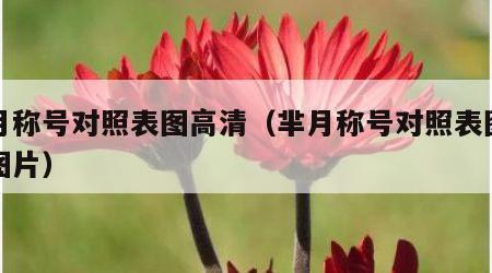 芈月称号对照表图高清（芈月称号对照表图高清图片）