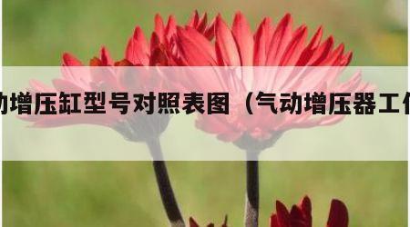 气动增压缸型号对照表图（气动增压器工作原理）