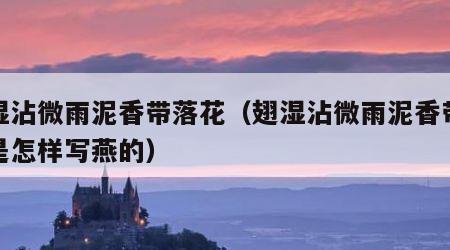 翅湿沾微雨泥香带落花（翅湿沾微雨泥香带落花是怎样写燕的）