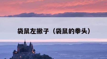袋鼠左撇子（袋鼠的拳头）