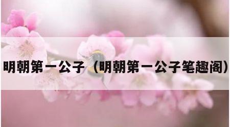 明朝第一公子（明朝第一公子笔趣阁）