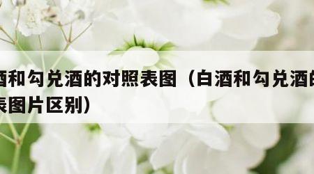 白酒和勾兑酒的对照表图（白酒和勾兑酒的对照表图片区别）