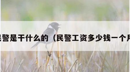 民警是干什么的（民警工资多少钱一个月）