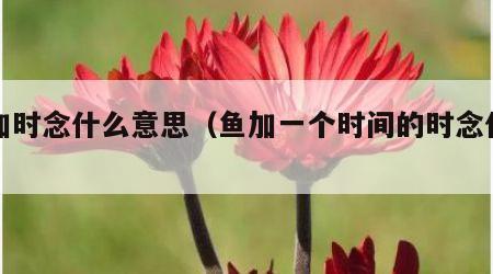 鱼加时念什么意思（鱼加一个时间的时念什么）