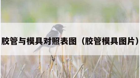 胶管与模具对照表图（胶管模具图片）