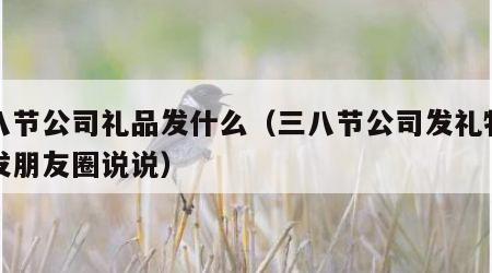三八节公司礼品发什么（三八节公司发礼物怎么发朋友圈说说）
