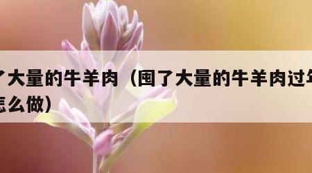 囤了大量的牛羊肉（囤了大量的牛羊肉过年最好怎么做）