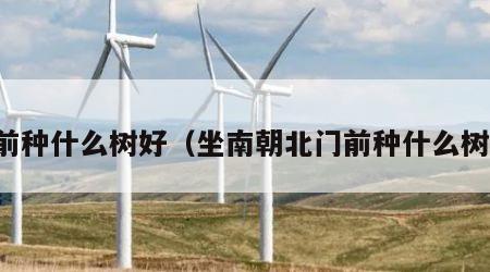 门前种什么树好（坐南朝北门前种什么树好）