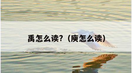 禹怎么读?（庾怎么读）
