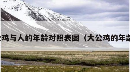 公鸡与人的年龄对照表图（大公鸡的年龄）
