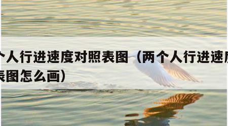 两个人行进速度对照表图（两个人行进速度对照表图怎么画）