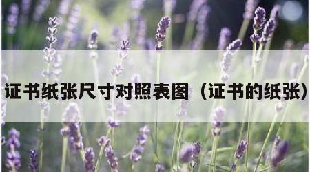 证书纸张尺寸对照表图（证书的纸张）