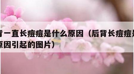后背一直长痘痘是什么原因（后背长痘痘是什么原因引起的图片）