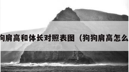 狗狗肩高和体长对照表图（狗狗肩高怎么算）