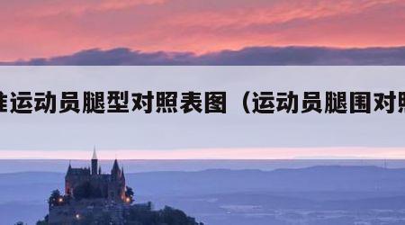 标准运动员腿型对照表图（运动员腿围对照表）